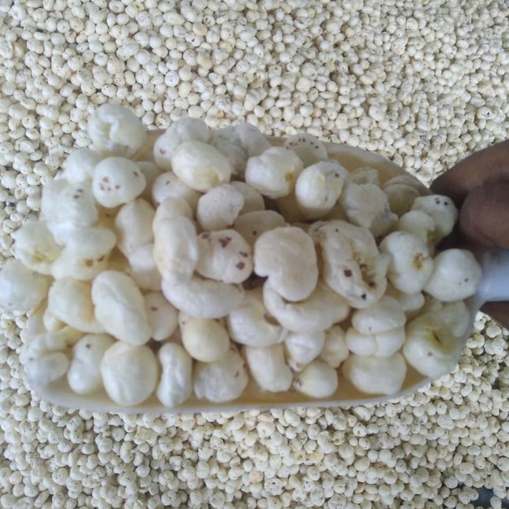 7 Suta Makhana